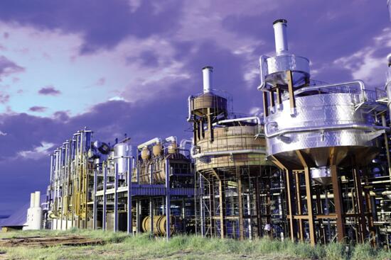 中粮 做国际大粮商，促金砖国家农业共荣