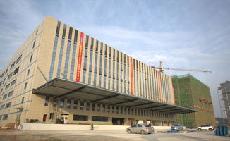 英氏舒比奇 以创新驱动行业升级，智领未来发展新趋势